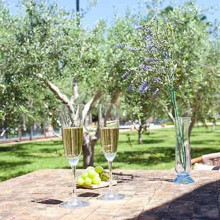 S'hort De Son Caulelles - Adults Only Farm stay