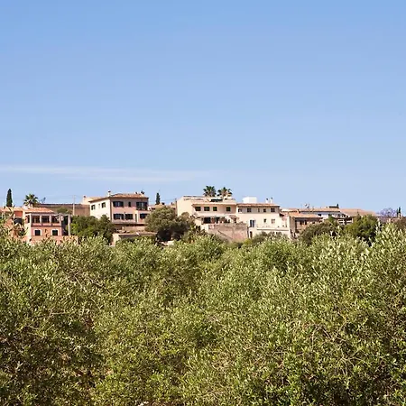 S'hort De Son Caulelles - Adults Only Farm stay Marratxi