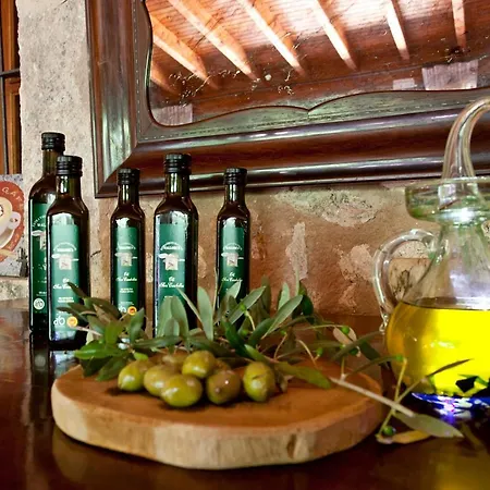 S'hort De Son Caulelles - Adults Only Farm stay