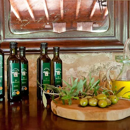 Farm stay S'hort De Son Caulelles - Adults Only
