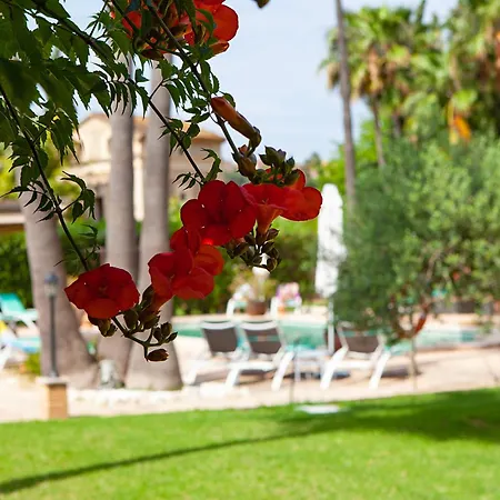 S'hort De Son Caulelles - Adults Only Farm stay *